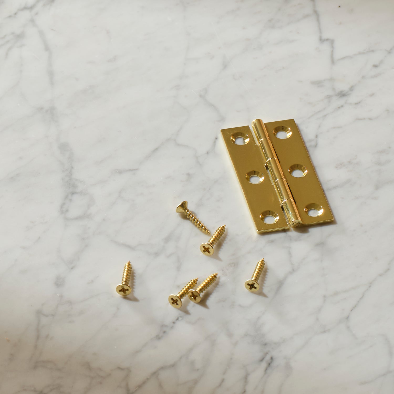 Neptune Handles & Hardware Brass Lennon Hinge, Set of 2