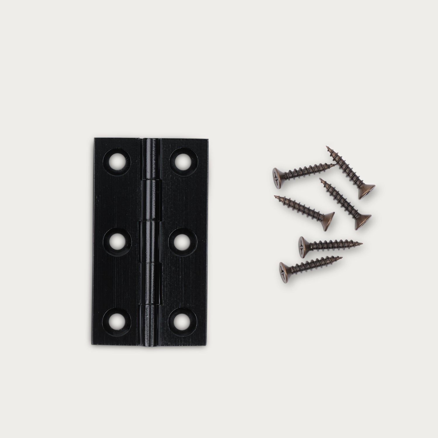 Neptune Handles & Hardware Lennon Hinge, Set of 2