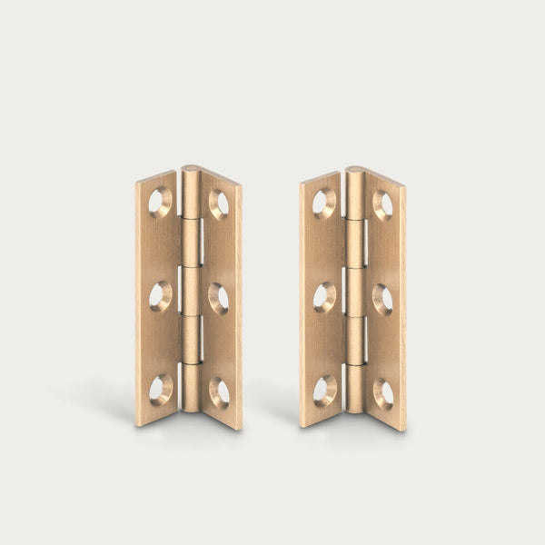 Neptune Handles & Hardware Lennon Hinge, Set of 2
