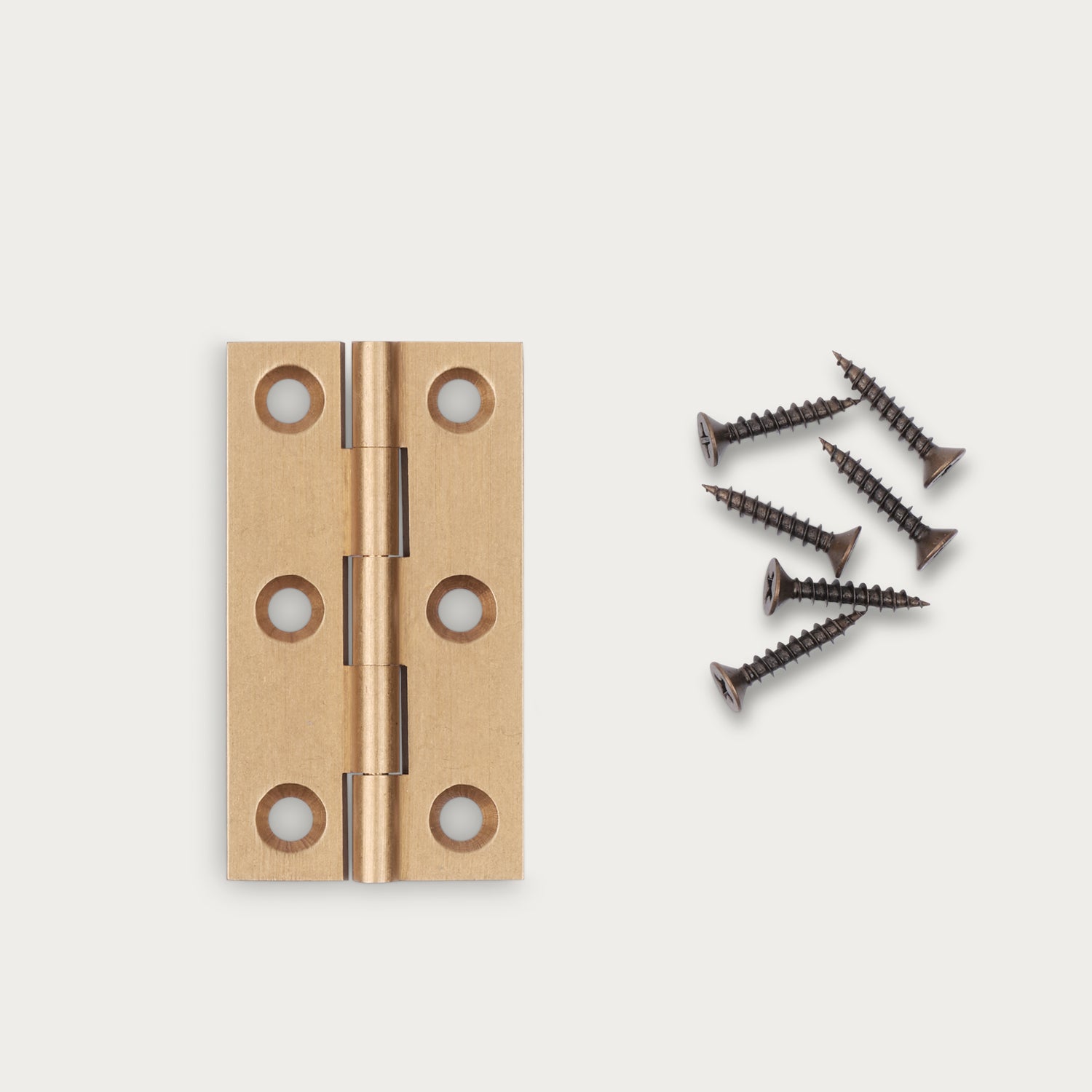 Neptune Handles & Hardware Lennon Hinge, Set of 2