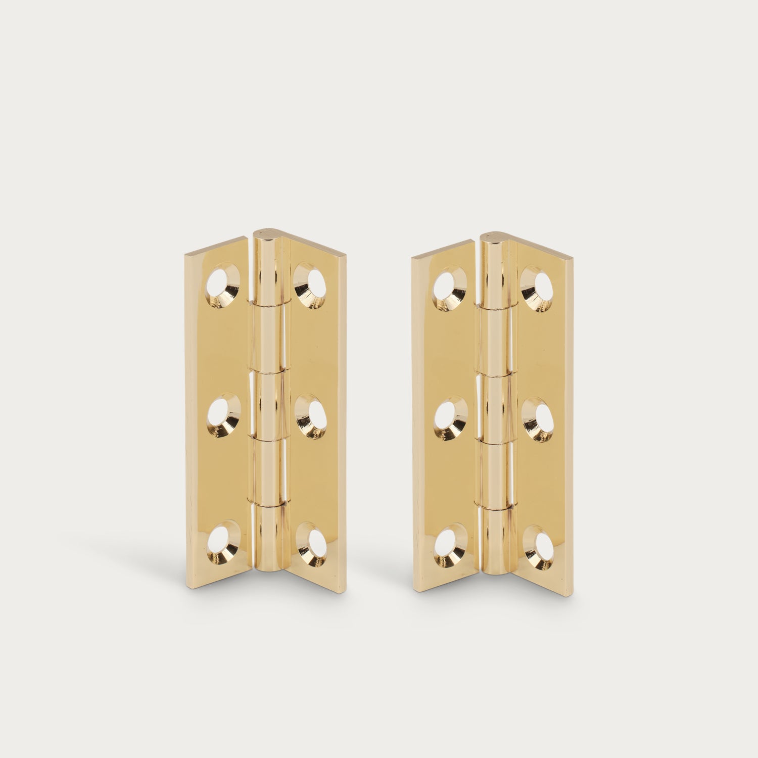 Neptune Handles & Hardware Lennon Hinge, Set of 2