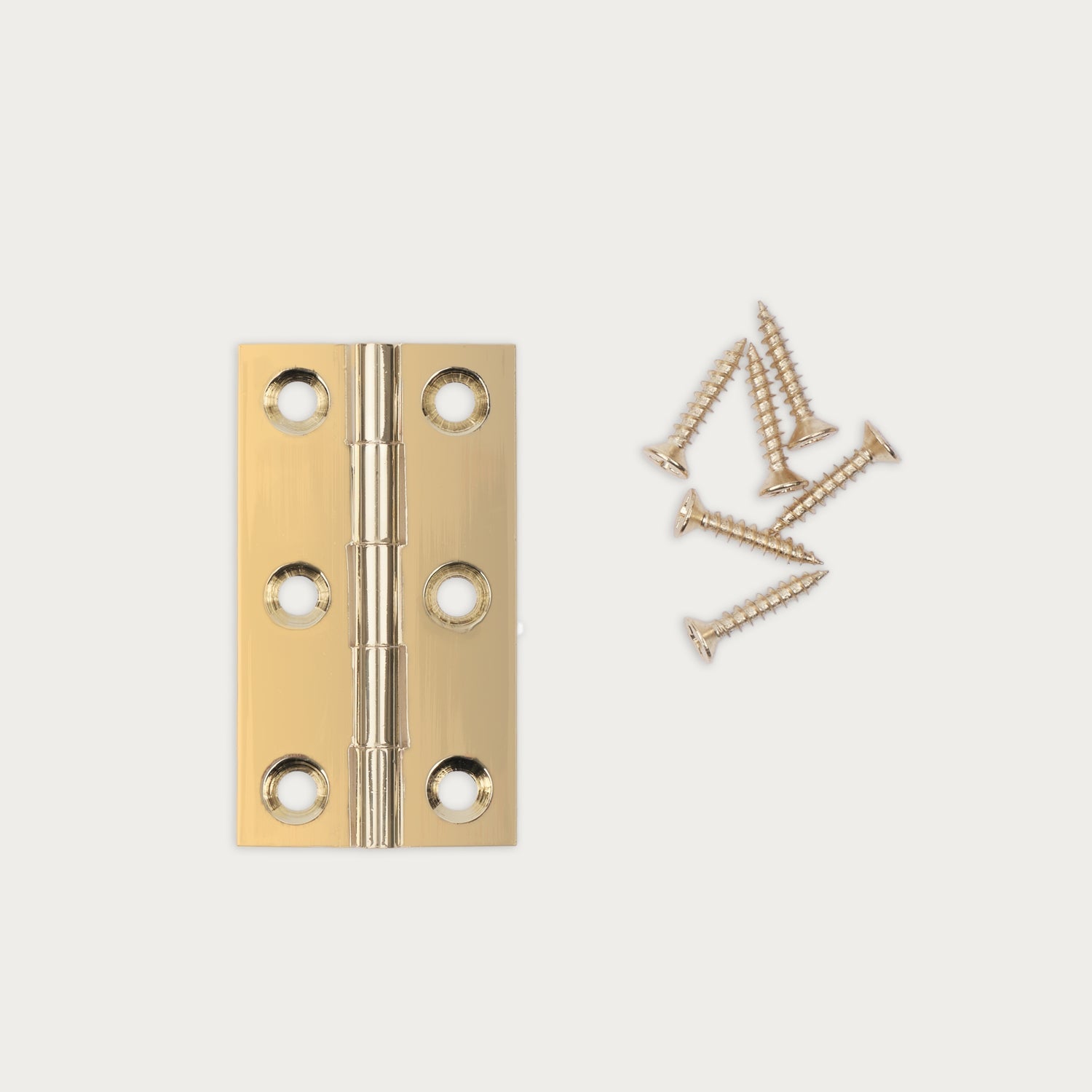 Neptune Handles & Hardware Lennon Hinge, Set of 2