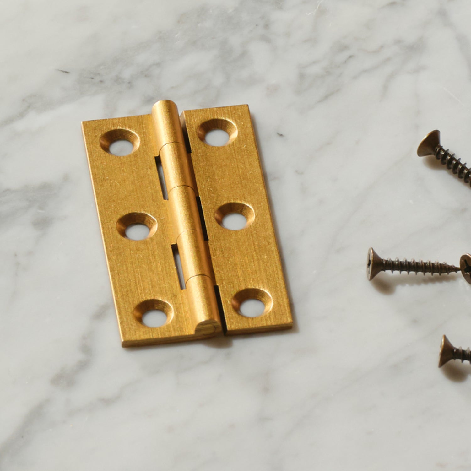 Neptune Handles & Hardware Lennon Hinge, Set of 2