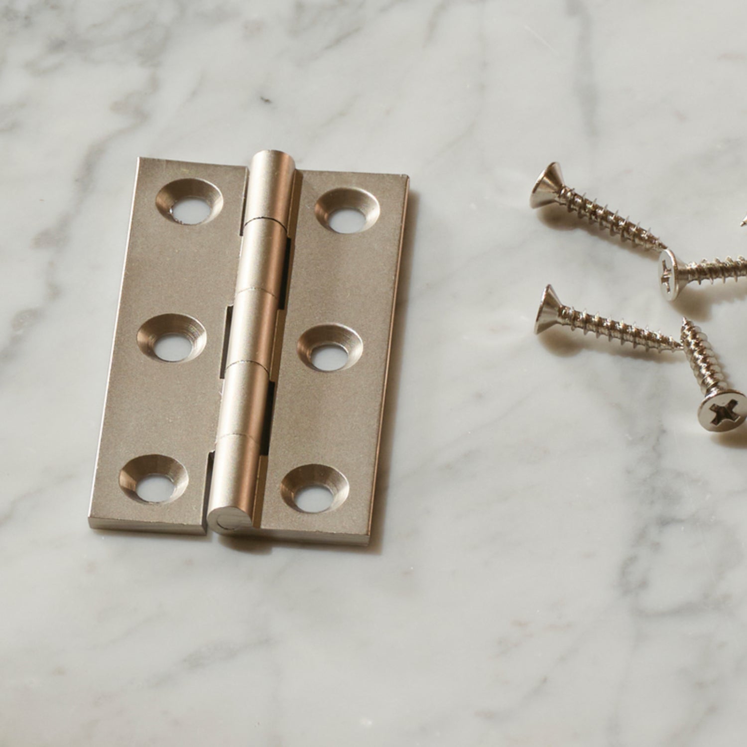 Neptune Handles & Hardware Lennon Hinge, Set of 2