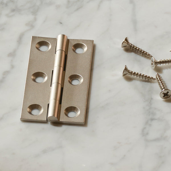 Neptune Handles & Hardware Lennon Hinge, Set of 2
