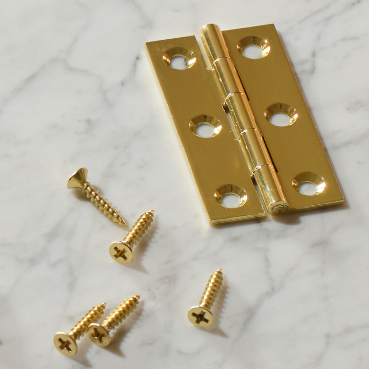 Neptune Handles & Hardware Lennon Hinge, Set of 2