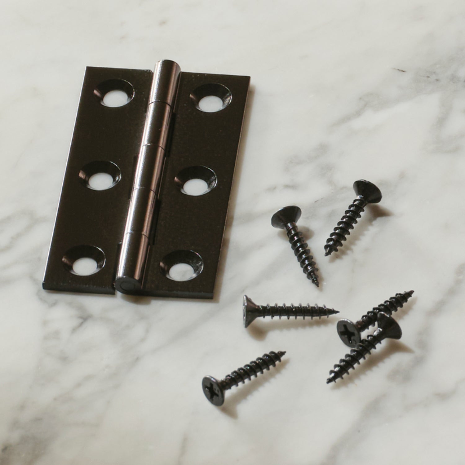 Neptune Handles & Hardware Lennon Hinge, Set of 2