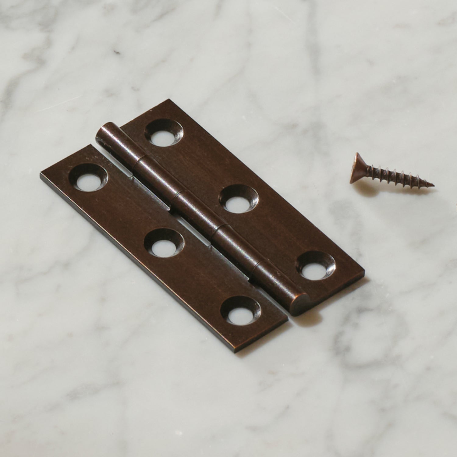 Neptune Handles & Hardware Lennon Hinge, Set of 2