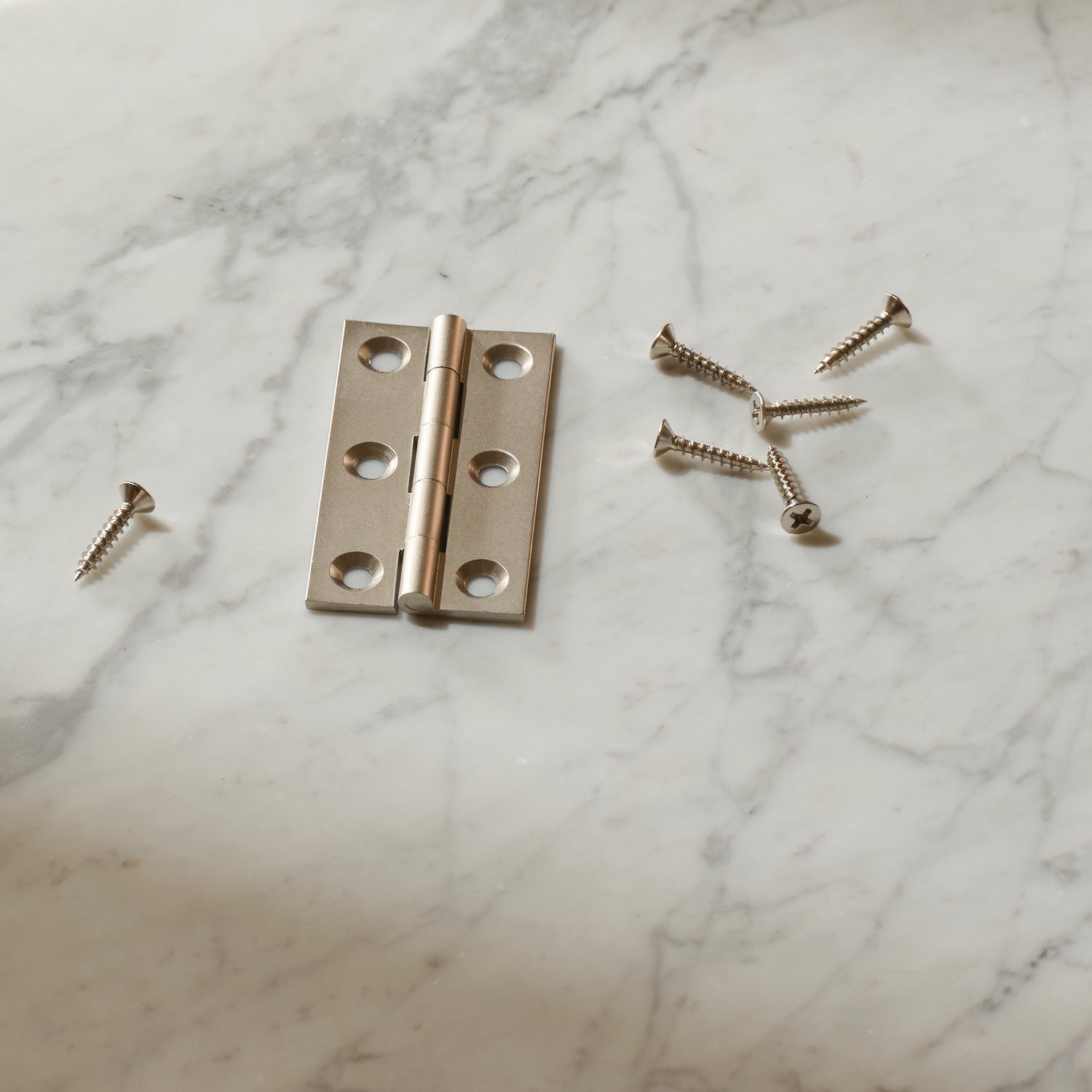 Neptune Handles & Hardware Satin Nickel Lennon Hinge, Set of 2