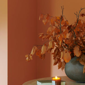 Neptune Paint Bracken Paint