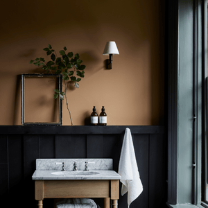 Neptune Paint Mustard Paint