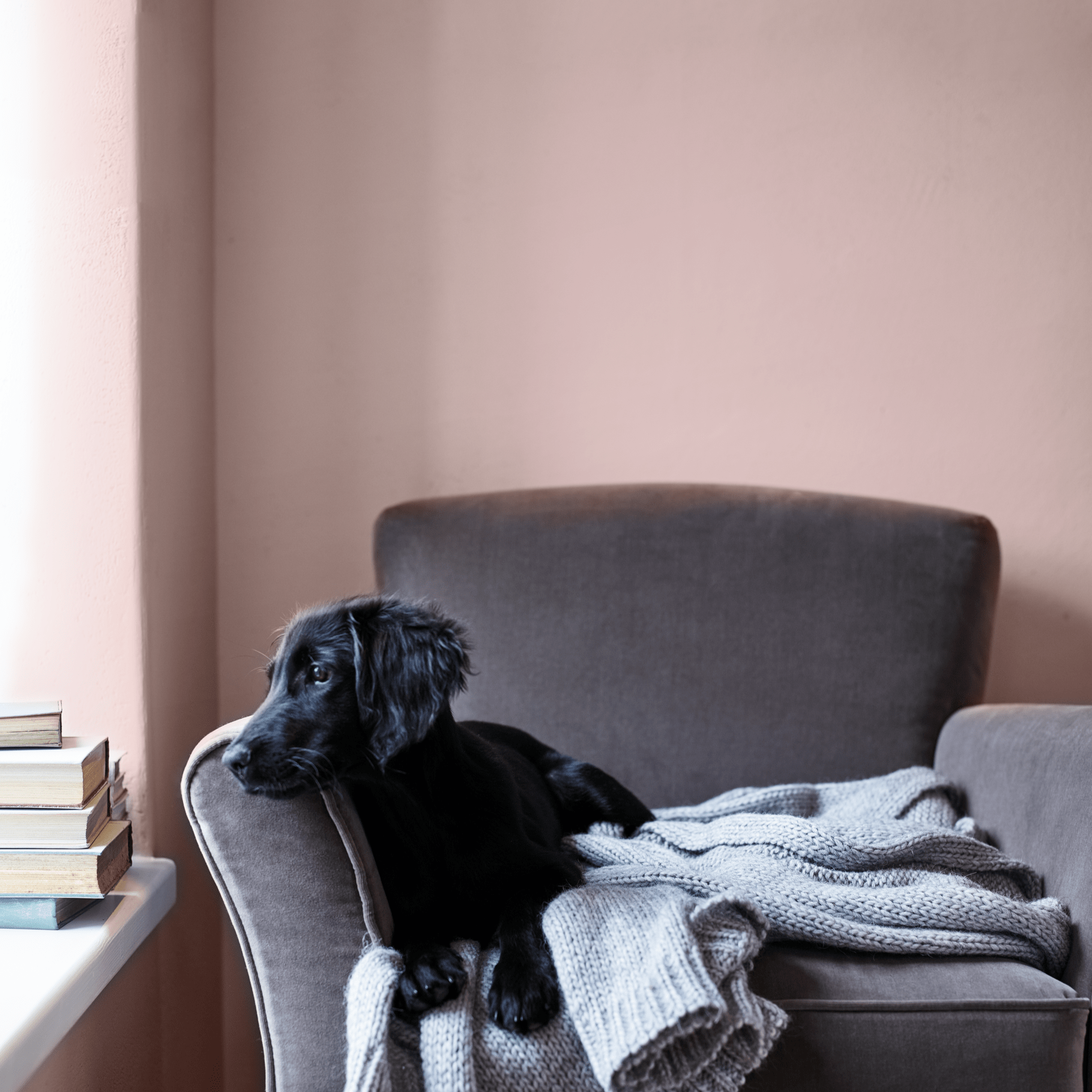 Neptune Paint Old Rose Paint