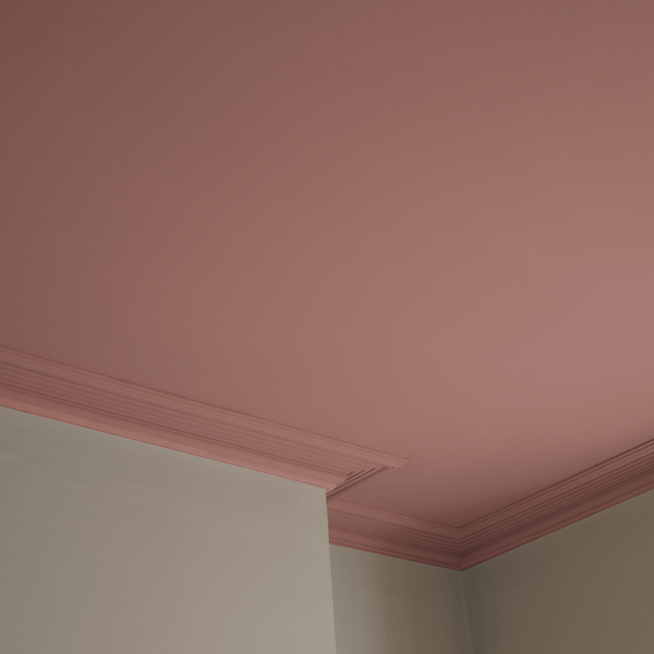 Neptune Paint Old Rose Paint