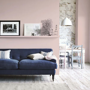 Neptune Paint Last Chance - Pink Peppercorn Paint