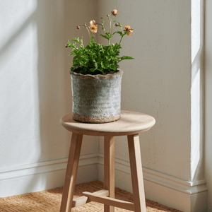 Neptune Pots & Planters Small Broseley Pot
