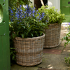 Neptune Pots & Planters Large Tetbury Planter