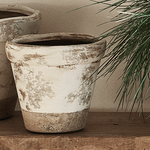 Thyme Terracotta Pot