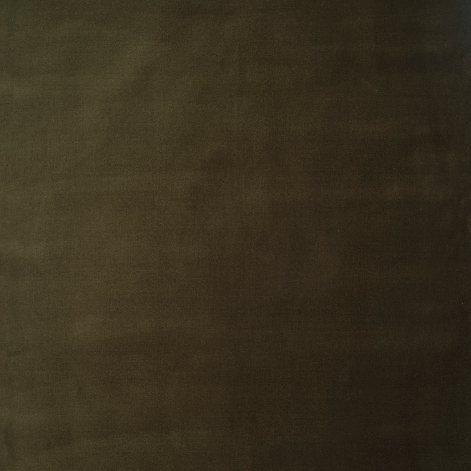 Neptune Samples & Swatches Cotton Velvet Fabric Swatch, Dark Olive