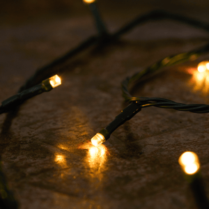 Savoy Christmas Lights