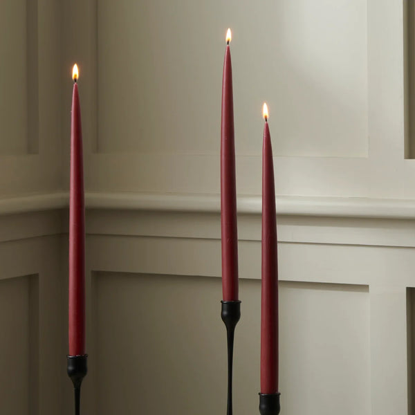 Neptune Accessories_Living accessories_Candles & diffusers Cranberry Nightingale Tapered Candles, Set of 4