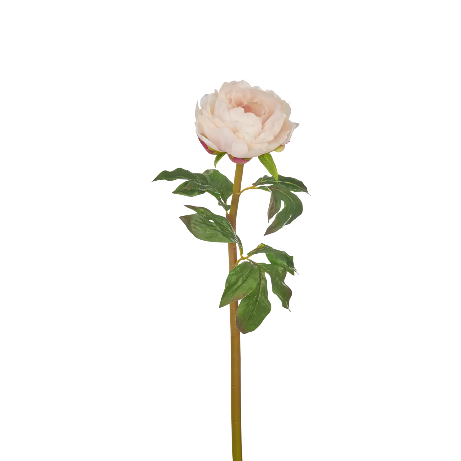 Neptune Accessories_Living accessories_Faux flowers & plants default Peony Stem, Soft Pink