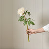 Neptune Accessories_Living accessories_Faux flowers & plants default Peony Stem, Soft Pink