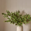 Neptune Seasonal_Christmas_Christmas accessories default Faux Pine Foliage Spray, Green
