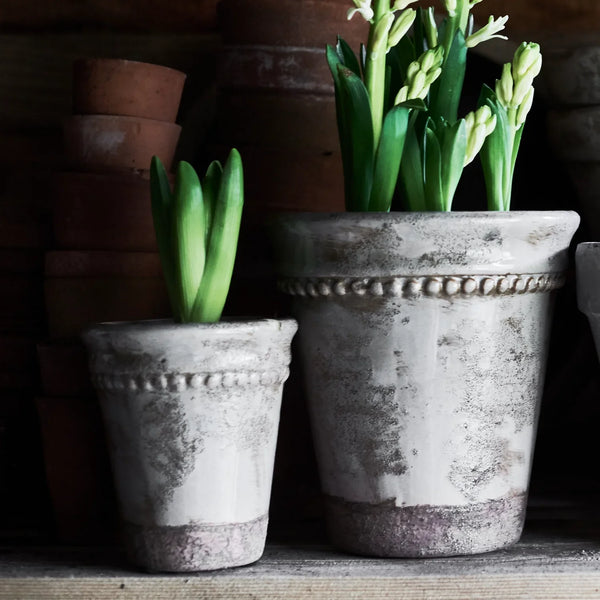 Neptune Seasonal_Garden_Garden accessories default Rosemary Terracotta Pot, Large