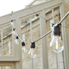Neptune Accessories_Lighting_Lighting accessories default Rosewood 5 Metre Festoon Lights