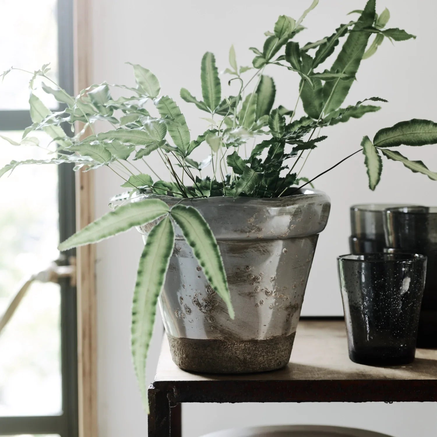 Neptune Seasonal_Garden_Garden accessories default Sage Terracotta Plant Pot, Large