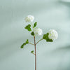 Neptune Accessories_Living accessories_Faux flowers & plants default Snowball Stem, White
