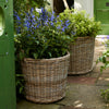 Neptune Seasonal_Garden_Garden accessories default Tetbury Large Wicker Garden Planter