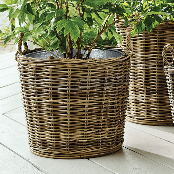 Neptune Seasonal_Garden_Garden accessories default Tetbury Medium Wicker Garden Planter