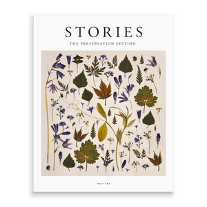 Stories 15 IE