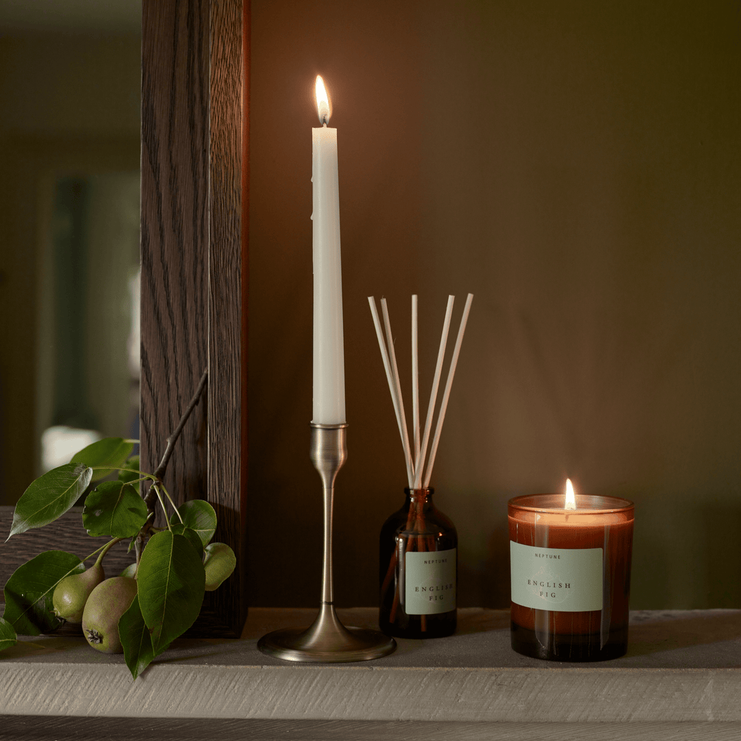 English Fig, Diffuser – Neptune