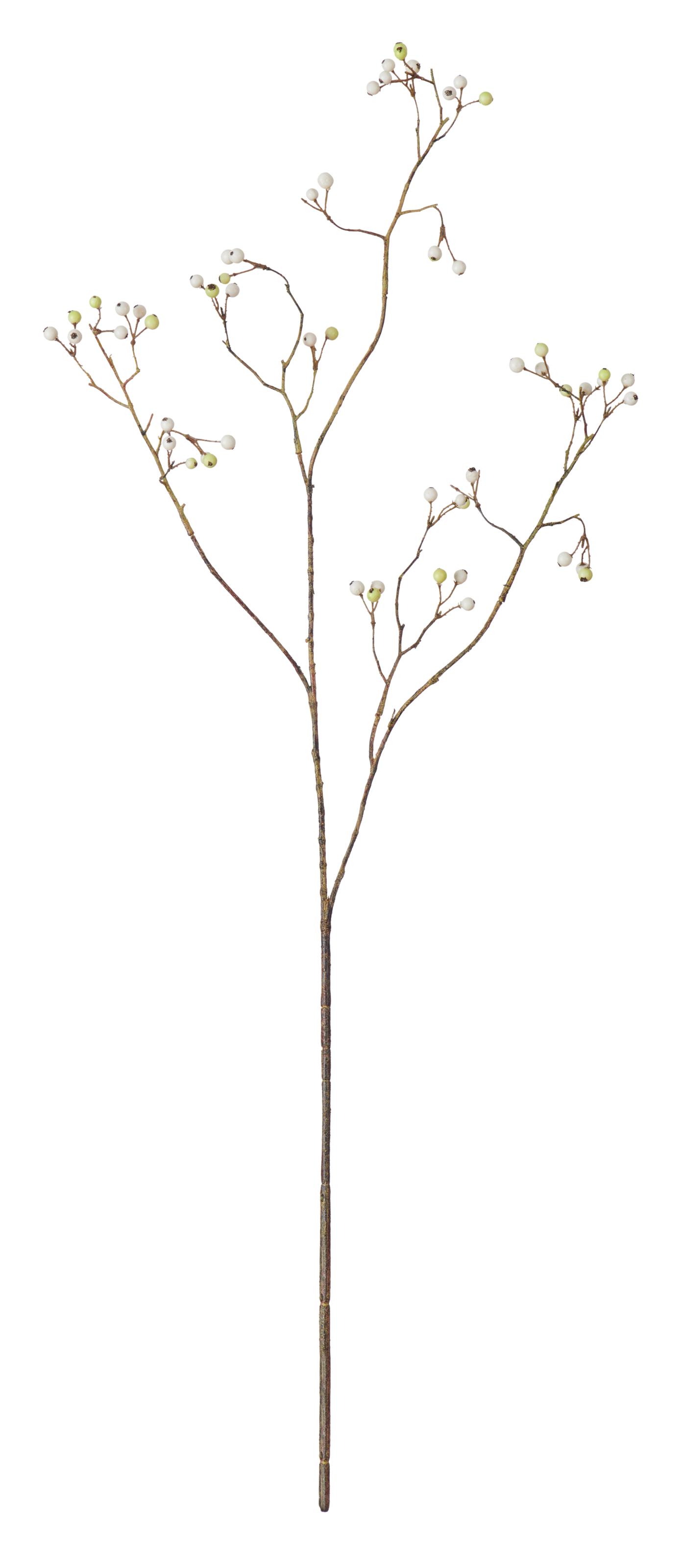 Neptune Flowers & Plants Berry Spray