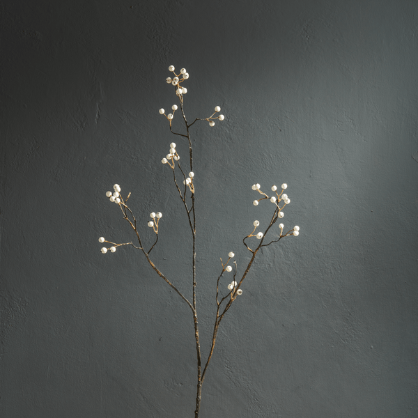 Neptune Flowers & Plants Berry Spray