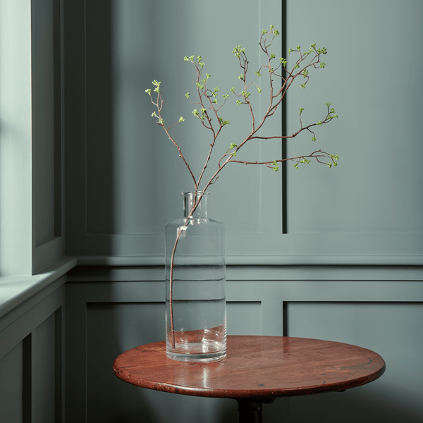 Neptune Flowers & Plants Corn Parsley Twig