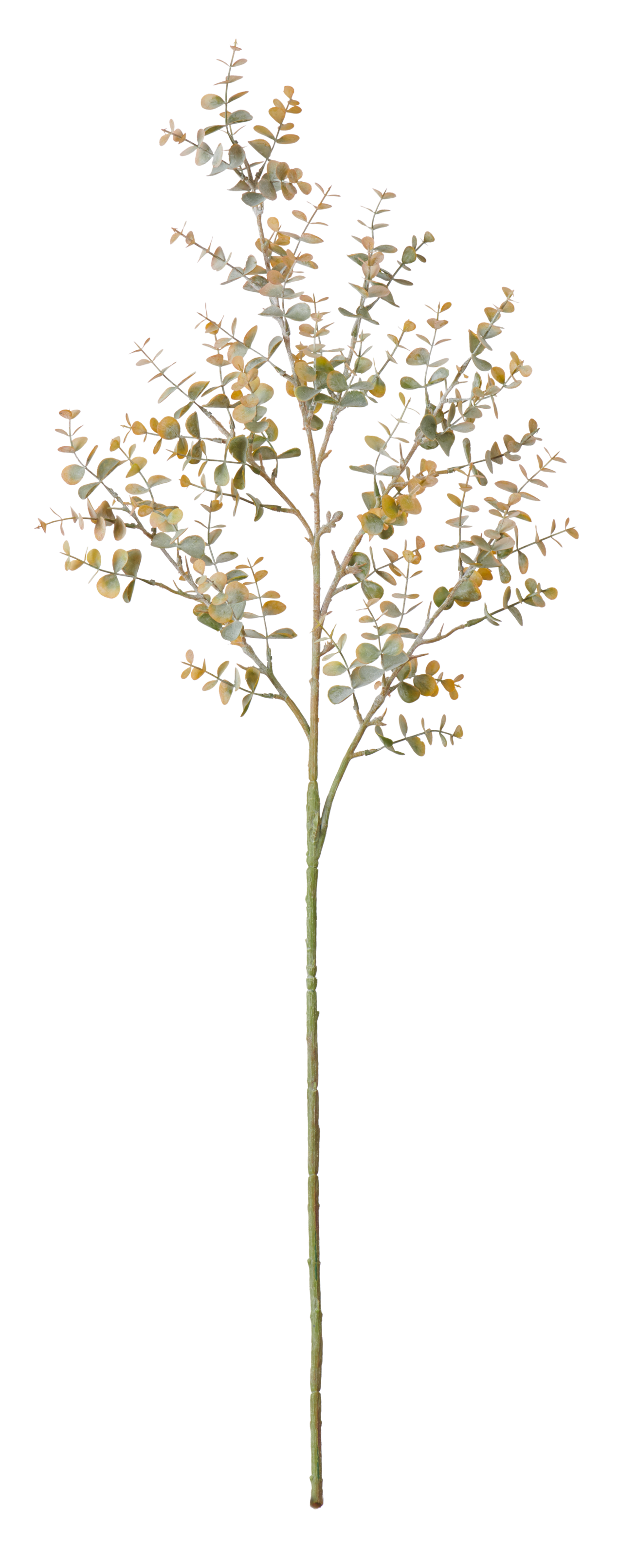 Neptune Flowers & Plants Eucalyptus Mini Spray