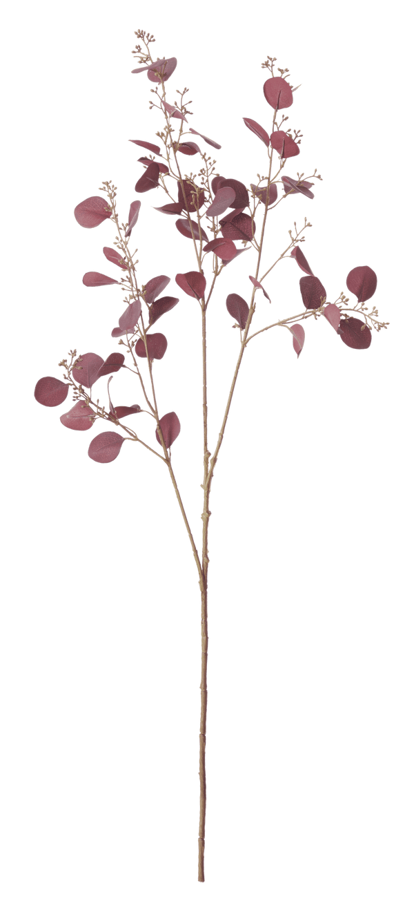 Neptune Flowers & Plants Eucalyptus Stem