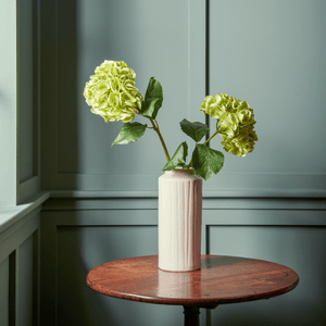 Neptune Flowers & Plants Green Hydrangea Stem