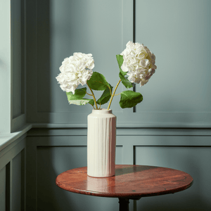 Neptune Flowers & Plants White Hydrangea Stem