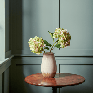 Neptune Flowers & Plants Soft Pink Hydrangea Stem