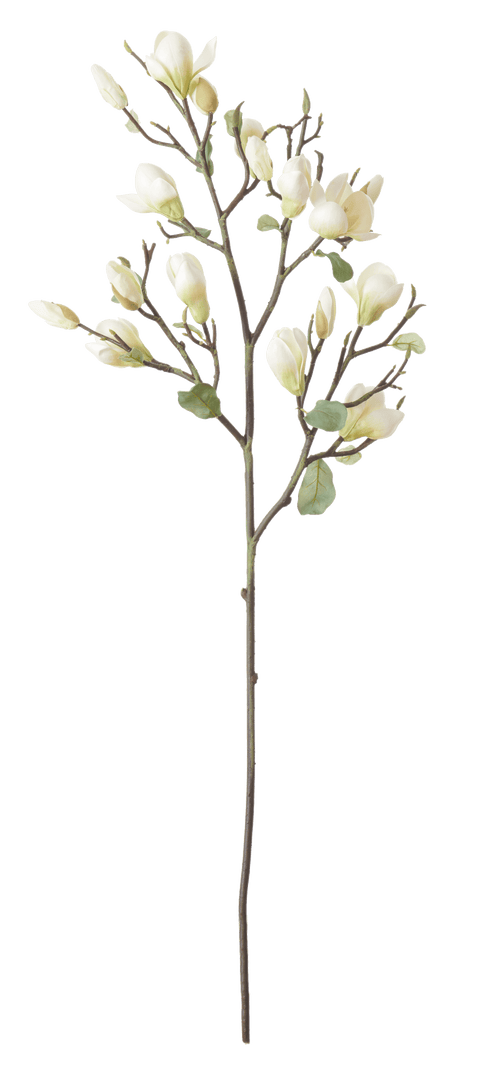 Magnolia Spray Green – Neptune