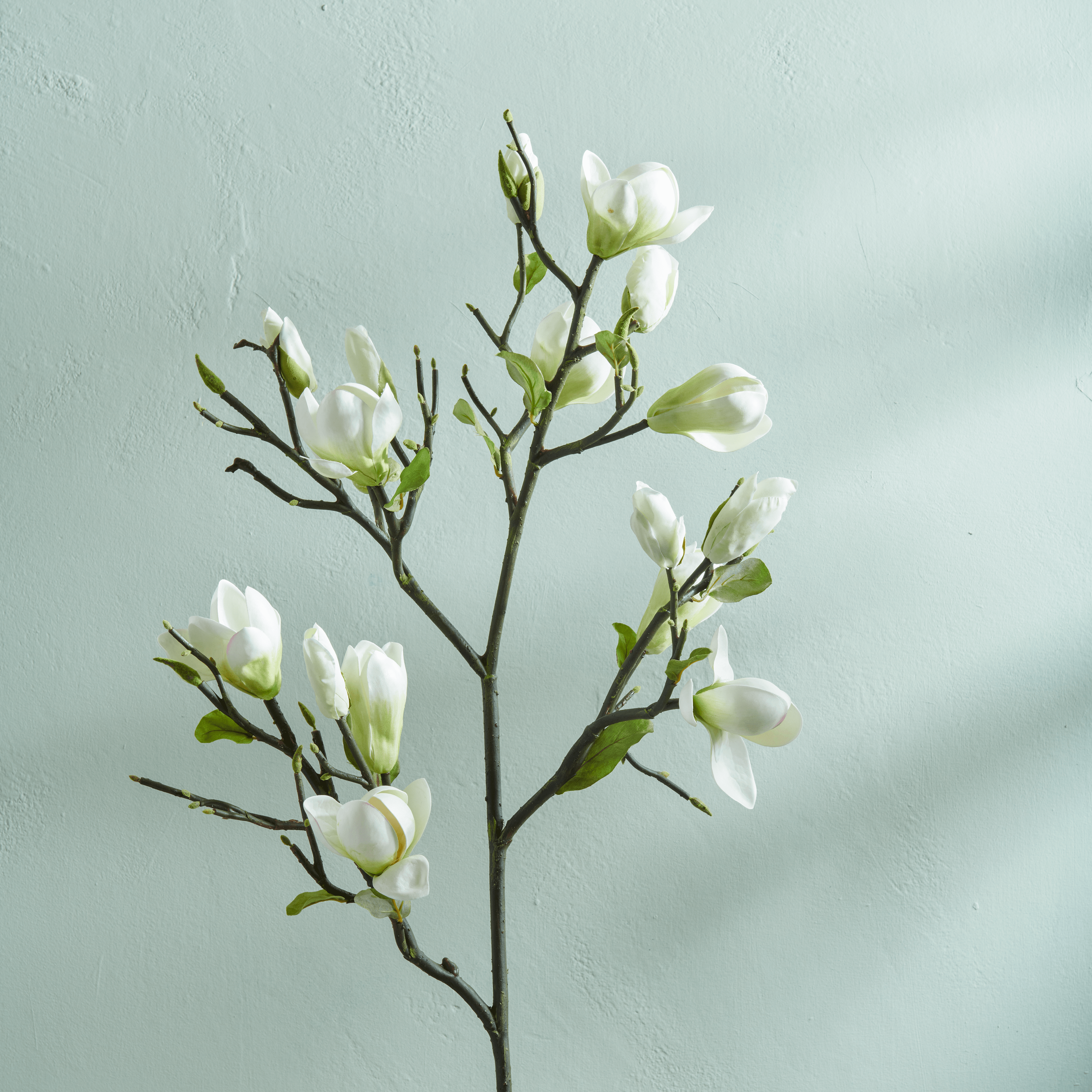 Neptune Flowers & Plants Magnolia Spray