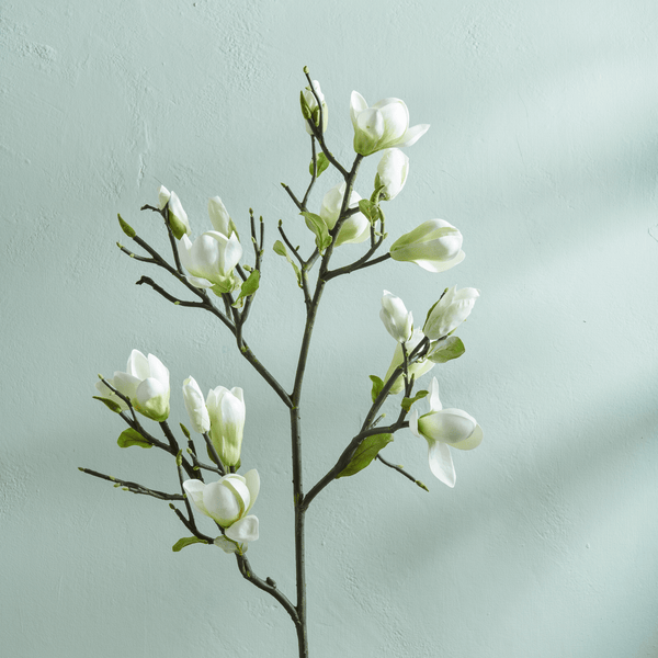 Neptune Flowers & Plants Magnolia Spray