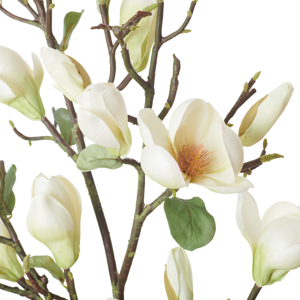 Neptune Flowers & Plants Magnolia Spray