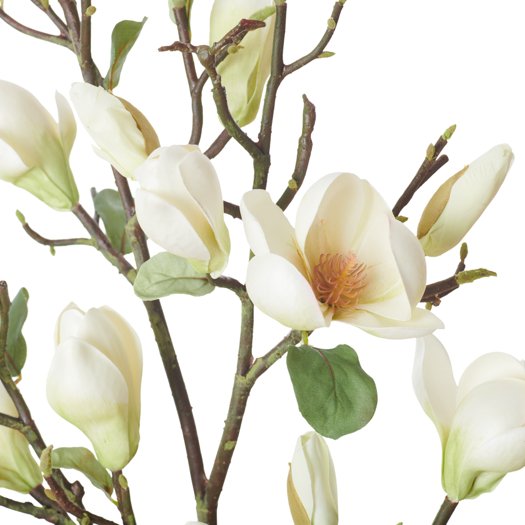 Magnolia Spray Green – Neptune