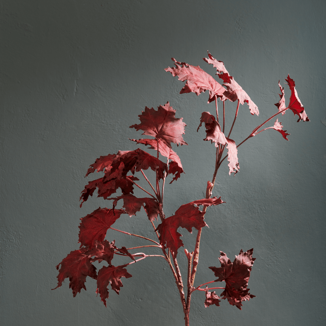 Maple Leaf Twig, Burgundy – Neptune