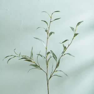 Neptune Flowers & Plants Olive Branch